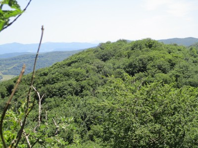 Ziñiku Oriental (1026 m)