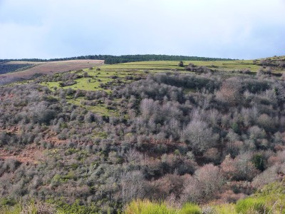 Las Hilarias, Cerro de (1291 m)