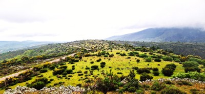 Las Víboras, Peña de (1245 m)