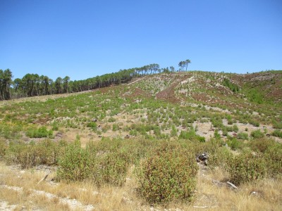 Patricio, Alto del (1177 m)