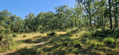 Pedrizas W (1161 m)