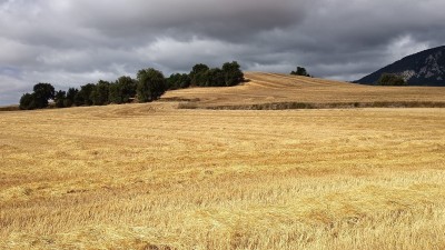 Cuestalamoza (556 m)