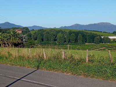 Urteagako Gaina (167 m)