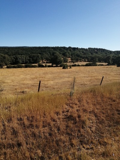 Umbría, Alto de la (1165 m)