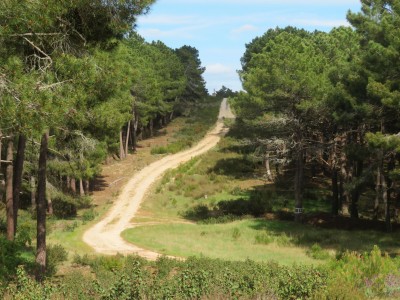 Cordón (1229 m)