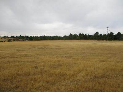 Coronillas, Las (1213 m)