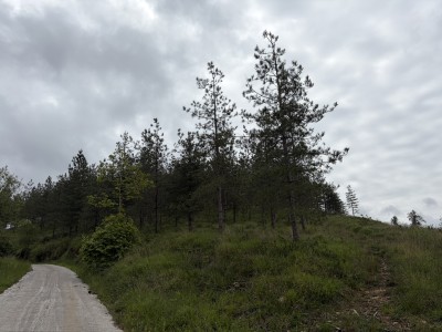 Motrolloa (493 m)
