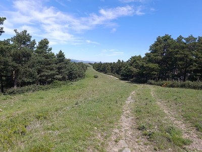 La Ladera, Alto de (1421 m)