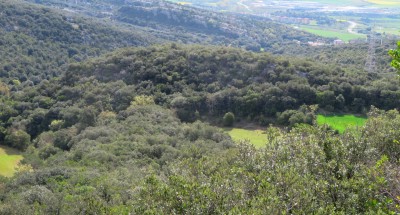 Marremediano (624 m)