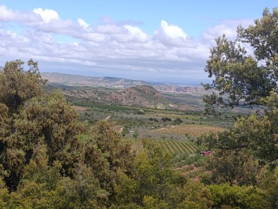 Hoyos, Cabeza de los (701 m)