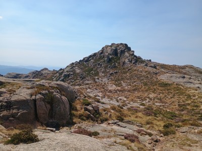 Chã de Pinheiro (1339 m)