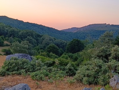 La Mohosa, Monte (1341 m)