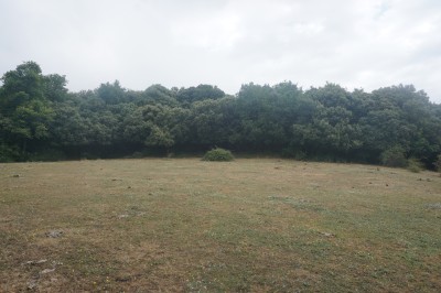 Frantzialekua (684 m)