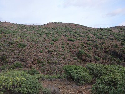 Alto de la Huesa (415 m)