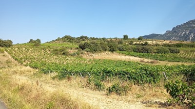 Costera, La (635 m)