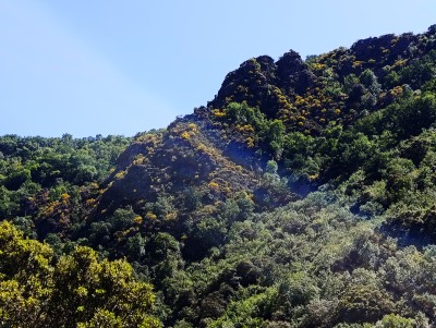 Bajera, Peña (1081 m)