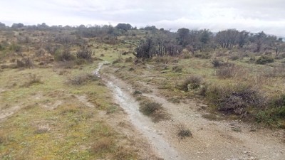 Txatamendieta (619 m)