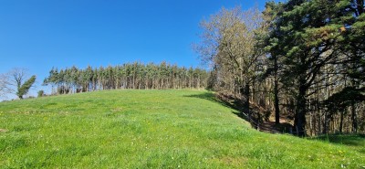 Carrasco N, Peña del (345 m)