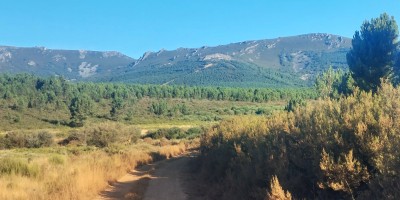 Piñeu de las Corchas (1267 m)