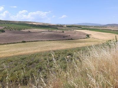 Candil, Cerro (651 m)
