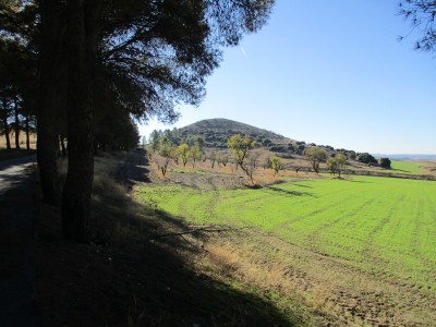 Águila, Cerro del (715 m)