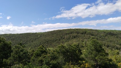 Monte Asieso (1225 m)