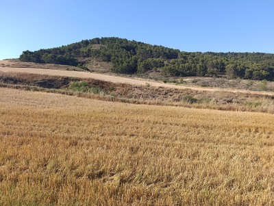 Muga, La (522 m)