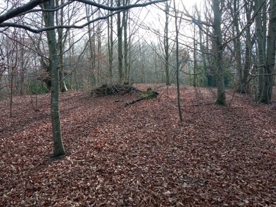 Burniotzagaña (563 m)