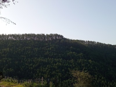 Begiralekueta (571 m)