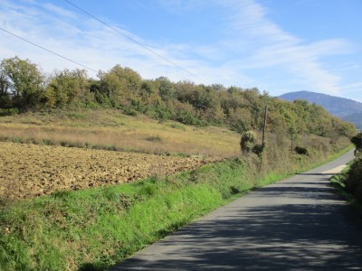 Alanguarte (589 m)