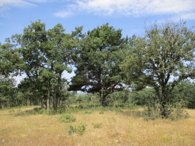 Cabezas, Alto de las (57 m)