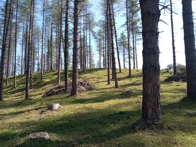 Beundegaña (850 m)