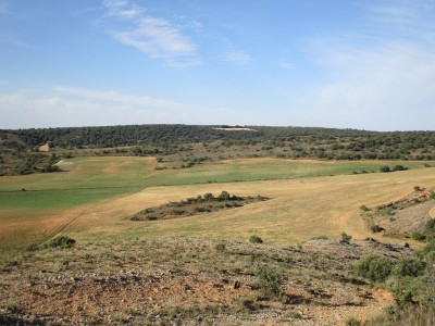 Cerro, Alto del (1104 m)