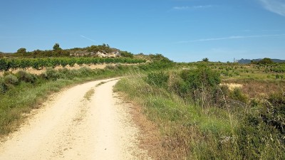 Torera, La (413 m)