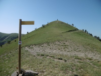 Pilón, Punta del (1962 m)