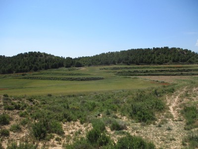 Callebrizas (497 m)