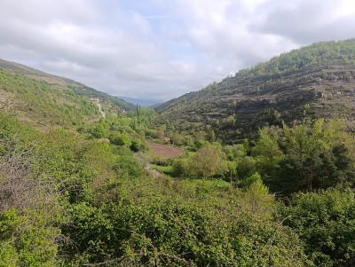 Paules, Los (1343 m)