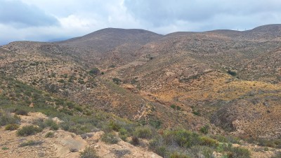 Cerro Majano (382 m)