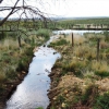 Charca del Arroyo de Tremonte dirección Nogarejas en las cercanías de Manacarbones