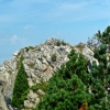 Cumbre