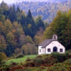 Elurretako ama y bosques de Lizardoia en Otoño