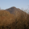 Mozolo sobre los bosques de Irati