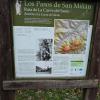 Los pasos de San Millán