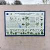 Flora y fauna