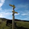 Poste direccional en el collado entre Arrola y Arriurdin, donde coinciden el GR 123 y el PR-BI 35.