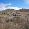Vista W del cerro desde la pista del km 19 de la NA-6210