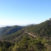 Peña Roya sobre los frondosos pinares