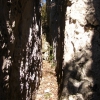 Chimenea de la ruta normal (F.)