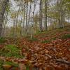 Otoño en Hegi Xuria