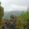 Cima.